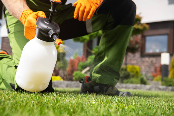 Best Insect Control  in Ludington, MI