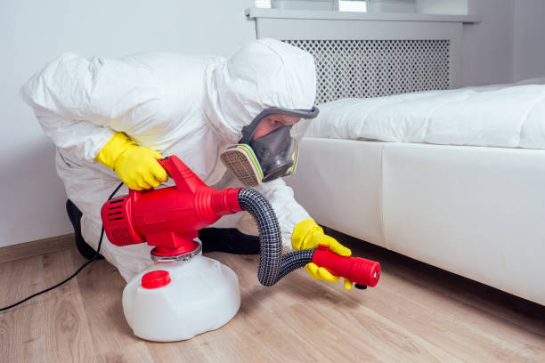 Best Wasp Removal Services  in Ludington, MI