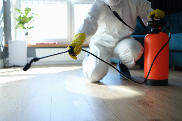 Best Pest Prevention Services  in Ludington, MI