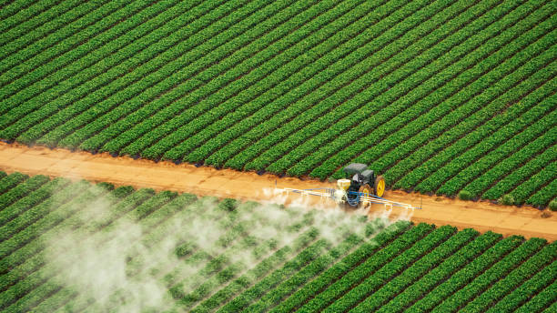 Best Mosquito Control Services  in Ludington, MI
