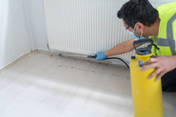 Best Commercial Pest Control Services  in Ludington, MI
