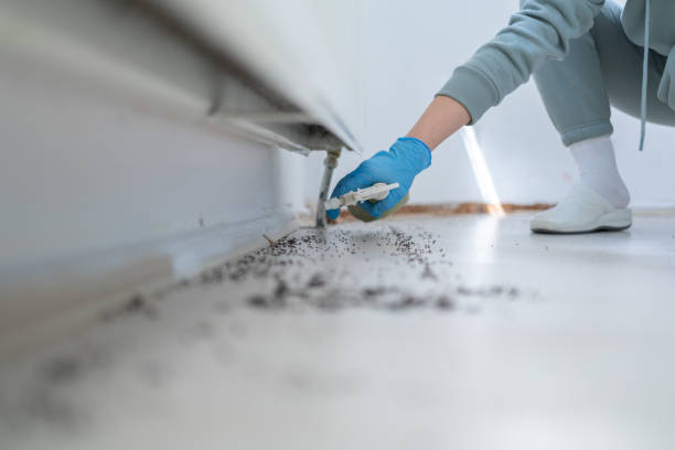 Best Exterminator Services  in Ludington, MI