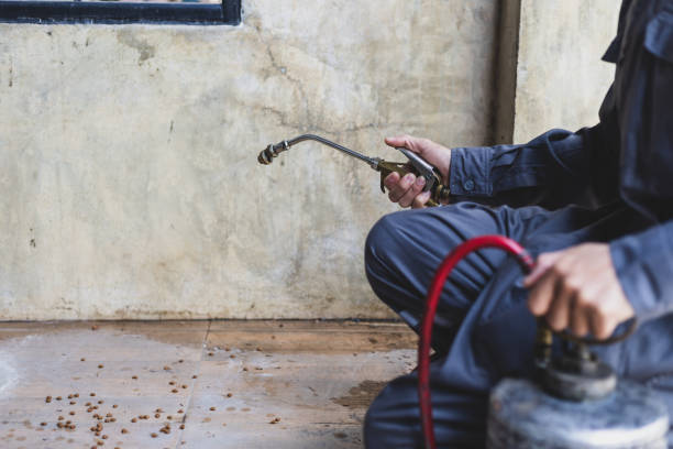 Best Affordable Pest Control Services  in Ludington, MI