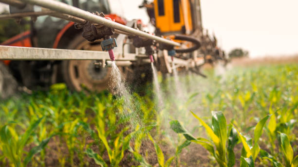 Best Pest Control for Homes  in Ludington, MI